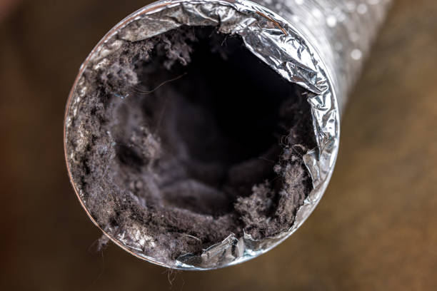 Best Professional Duct Cleaning Services  in Mount Hope, WV