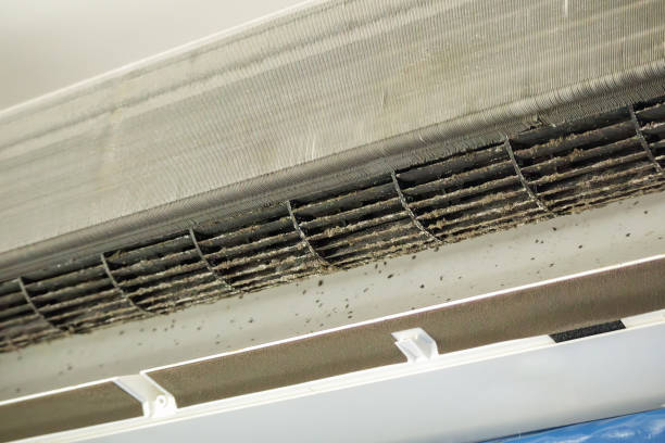 Best Commercial Air Duct Cleaning  in Mount Hope, WV